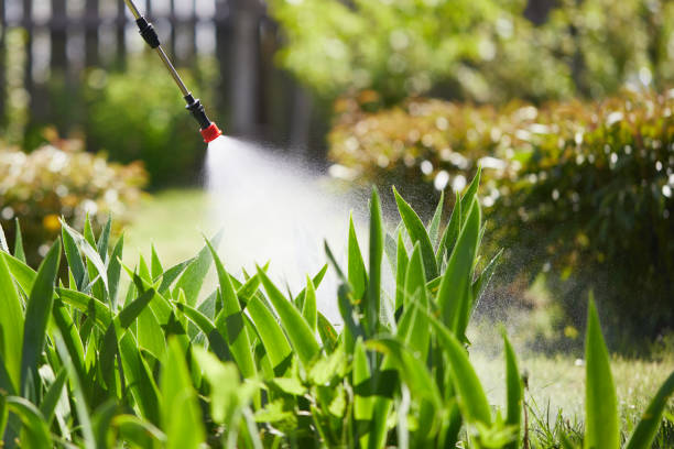 24/7 Emergency Mosquito Control experts in Albion, PA